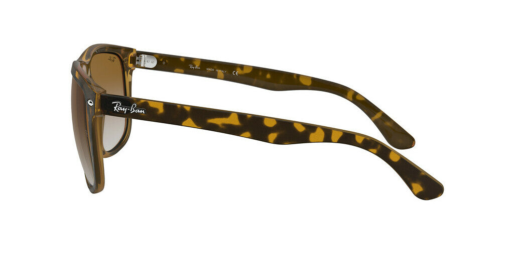 RayBan