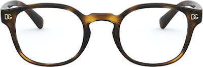 Dolce&Gabbana